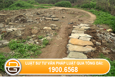 đinh-doat-tai-san-chung-cua-ho-gia-dinh
