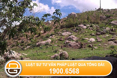 Cap-giay-chung-nhan-quyen-su-dung-dat-phan-dat-trong-rung-cho-nguoi-khac-muon