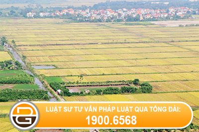 Cap-so-do-cho-phan-dat-mua-tu-nam-1999(1)