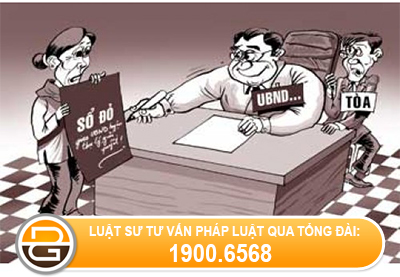 Co-duoc-doi-lai-dat-da-tang-cho