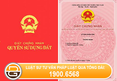 Co-the-su-dung-ho-chieu-de-tien-hanh-sang-ten-so-do-hay-khong