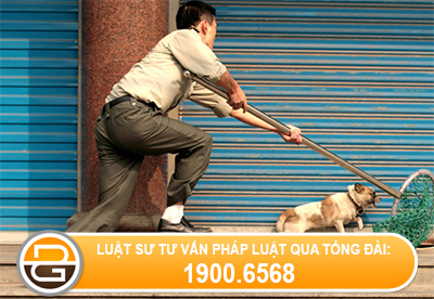 Danh-ke-trom-cho-co-pham-toi-khong