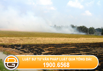 Dat-thu-hoi-vi-muc-dich-cong-co-duoc-boi-thuong.jpg