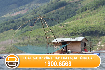 Dieu-kien-va-thu-tuc-nuoi-thuy-san-long-be