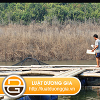 Dieu-kien-va-thu-tuc-nuoi-thuy-san-long-be