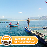 Han-muc-giao-thue-mat-nuoc-bien-de-nuoi-trong-thuy-san