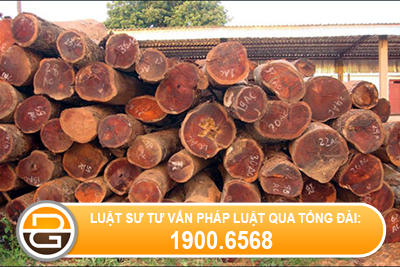 Nhap-khau-go-phai-thuc-hien-the-nao