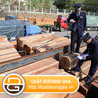 Nhap-khau-go-phai-thuc-hien-the-nao