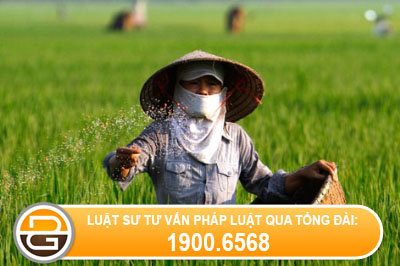 Phan-loai-phan-bon-vo-co