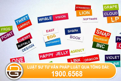 Quy-dinh-cua-phap-luat-ve-cach-dat-ten-doanh-nghiep2 (1).jpg