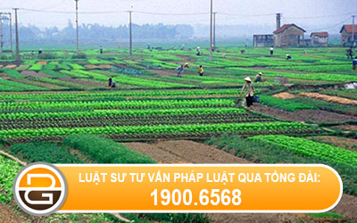 Quy-dinh-phap-luat-ve-dang-ki-bien-dong-dat-dai