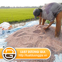 Thu-tuc-cap-Giay-phep-san-xuat-phan-bon-vo-co