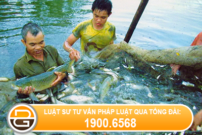Thu-tuc-khai-bao-kiem-dich-thuy-san-xuat-khau
