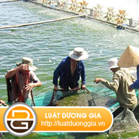 Thu-tuc-khai-bao-kiem-dich-thuy-san-xuat-khau
