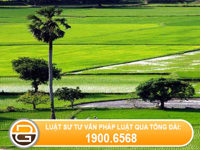 Tu-van-dai-dien-giai-quyet-tranh-chap-dat-dai