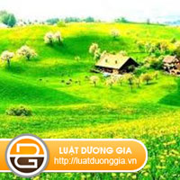 Tu-van-dai-dien-giai-quyet-tranh-chap-dat-dai