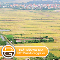 Xac-dinh-loai-dat-khi-co-phan-dien-tich-tang-them