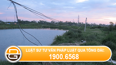 Xu-phat-hanh-vi-su-dung-bay-dien-de-bay-cac-dong-vat