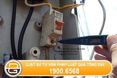 Xu-phat-hanh-vi-trom-cap-dien-cu-nha-nuoc.jpg