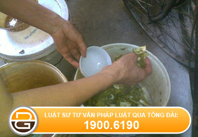 Ăn cà muối chua bị ngộ độc