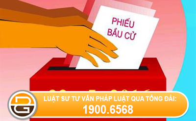 bau-cu-co-bat-buoc-hay-khong.
