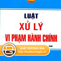 cac-hinh-thuc-xu-phat-hanh-chinh-va-bien-phap-khac-phuc-hau-qua