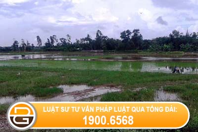 cap-giay-chung-nhan-quyen-su-dung-dat-khi-da-su-dung-lau-dai