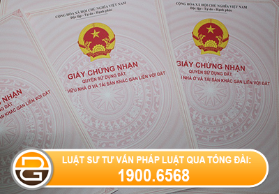 cap-so-do-cho-dat-khong-giay-to-mua-nam-2009.jpg
