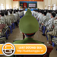 che-do-cham-soc-pham-nhan-nu-co-thai-trong-trai-tu