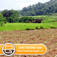 chuyen-quyen-su-dung-dat-cho-em-gai-co-duoc-khong