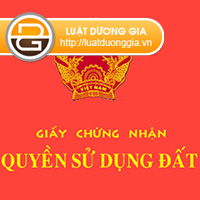 Có hai Giấy chứng nhận quyền sử dụng đất cùng một thửa đất
