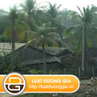 co-phai-nop-tien-dat-vuot-han-muc-khong