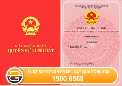 dat-rung-dươc-giao-co-duoc-cap-giay-chung-nhan-quyen-su-dung-dat
