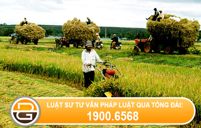 dat-trong-lua-co-duoc-chuyen-muc-dich-sang-dat-tho-cu-khong-