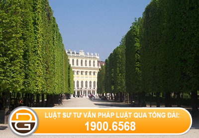 di-san-di-tang-duoc-hieu-nhu-the-nao-%282%29