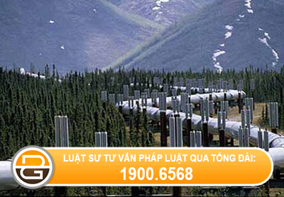 dieu-kien-kinh-doanh-dich-vu-van-tai-duong-ong