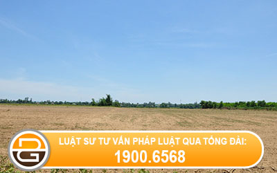 doi-lai-dat-cua-minh-bi-nguoi-khac-tu-y-ban