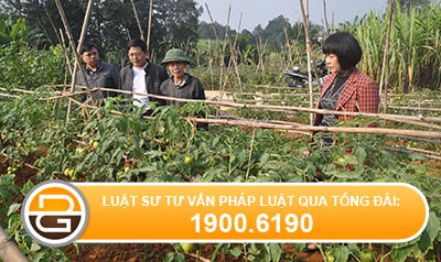 doi-tien-cong-lao-dong-boi-dap-dat-va-tien-cong-giu-dat