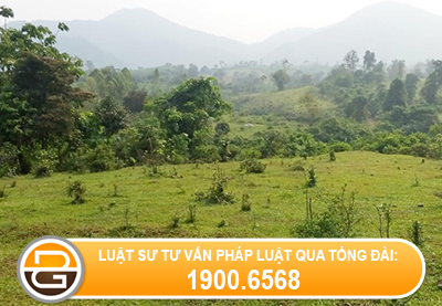 doi-tuong-duoc-mien-cac-loai-phi-khi-chuyen-muc-dich-su-dung-dat