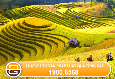 giai-quyet-tranh-chap-dat-dai-duoc-tang-cho-nam-1995.jpg
