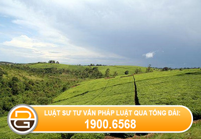 han-muc-cong-nhan-dat-o%281%29