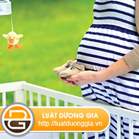 he-qua-phap-ly-cua-mang-thai-ho-vi-muc-dich-nhan-dao