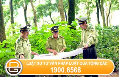 hoi-ve-che-do-phu-cap-doi-voi-tram-truong-tram-kiem-lam