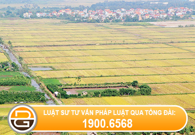 hoi-ve-khoi-kien-giai-quyet-tranh-chap-dat-dai