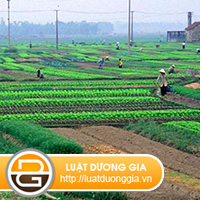 hoi-ve-khoi-kien-giai-quyet-tranh-chap-dat-dai