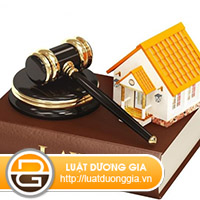 hoi-ve-thoi-han-giai-quyet-to-cao-