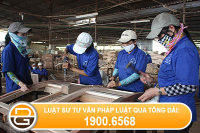 hoi-ve-viec-chuyen-lao-dong-sang-cong-ty-khac