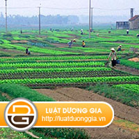 hop-thuc-hoa-dat-do-ong-cha-de-lai-nhu-the-nao-.jpg