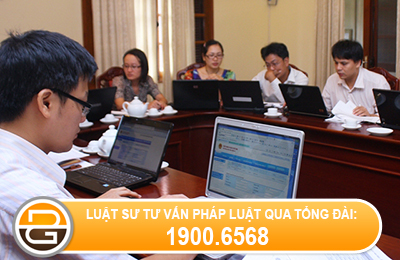 luat-su-tu-van-chi-nhanh-co-duoc-tham-gia-dau-thau-khong-