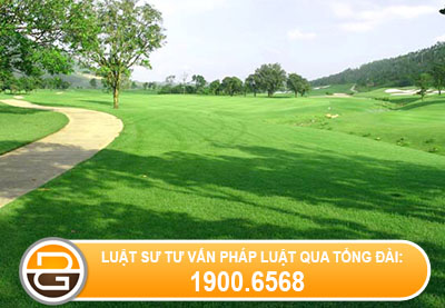 luoi-khong-che-do-ve%281%29